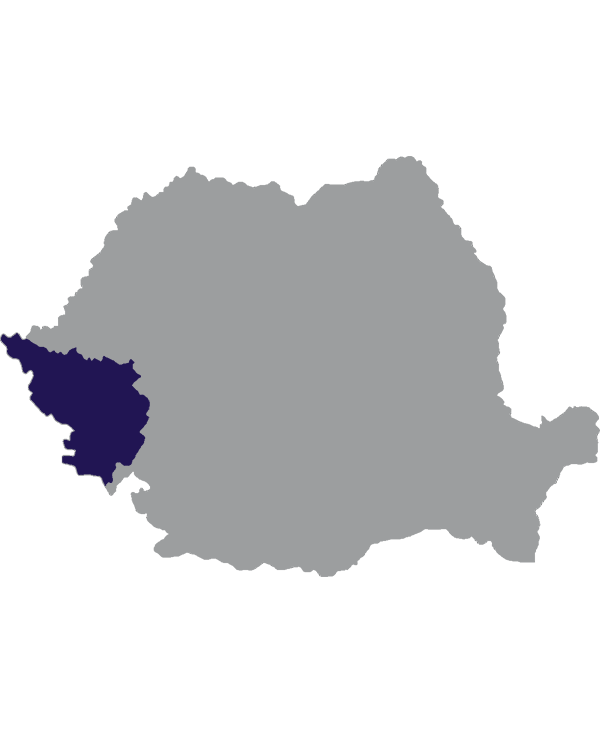 Landkaart Roemenië grijs met regio Banaat donkerblauw op transparante achtergrond - 600 * 733 pixels